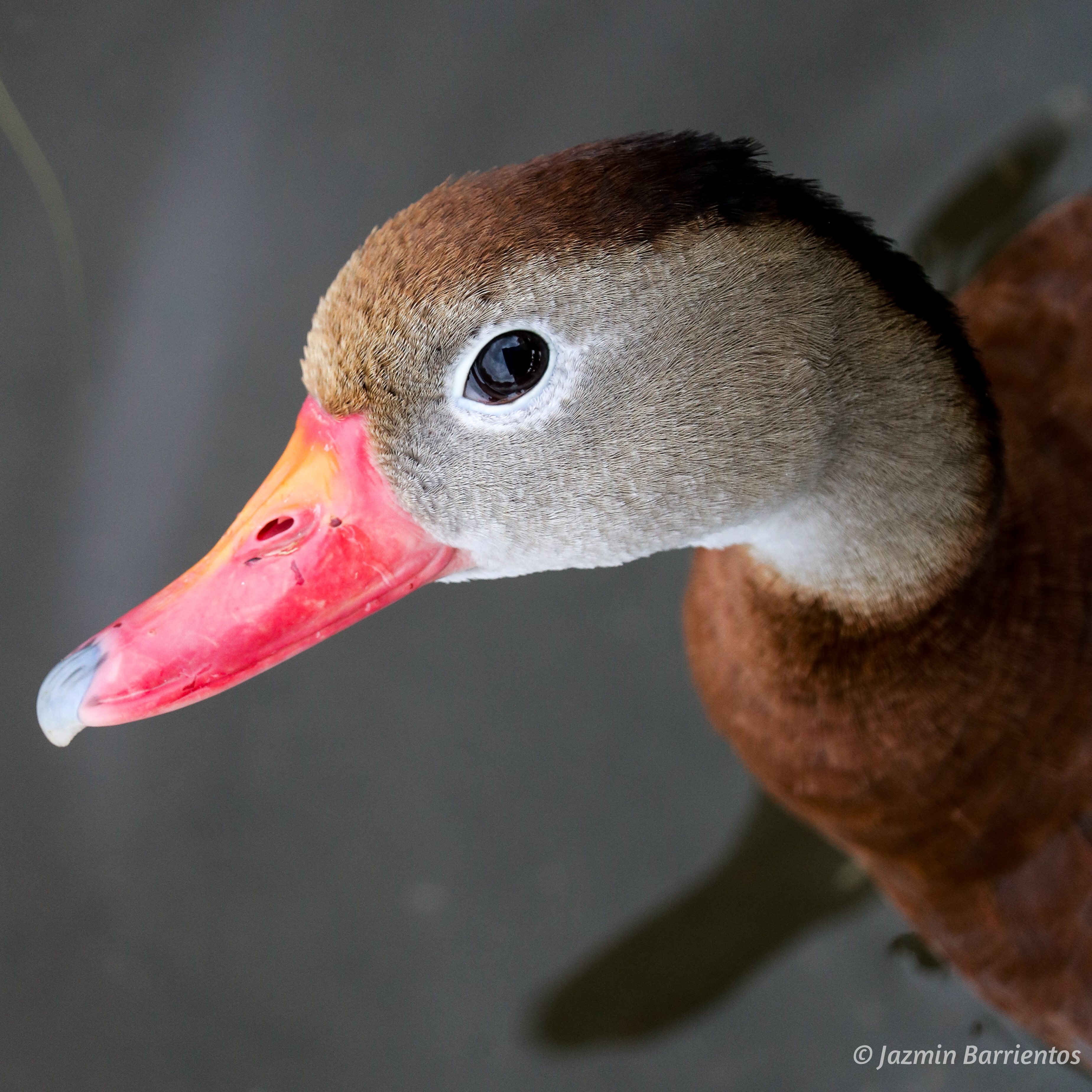 You may be&nbsp;thinking…