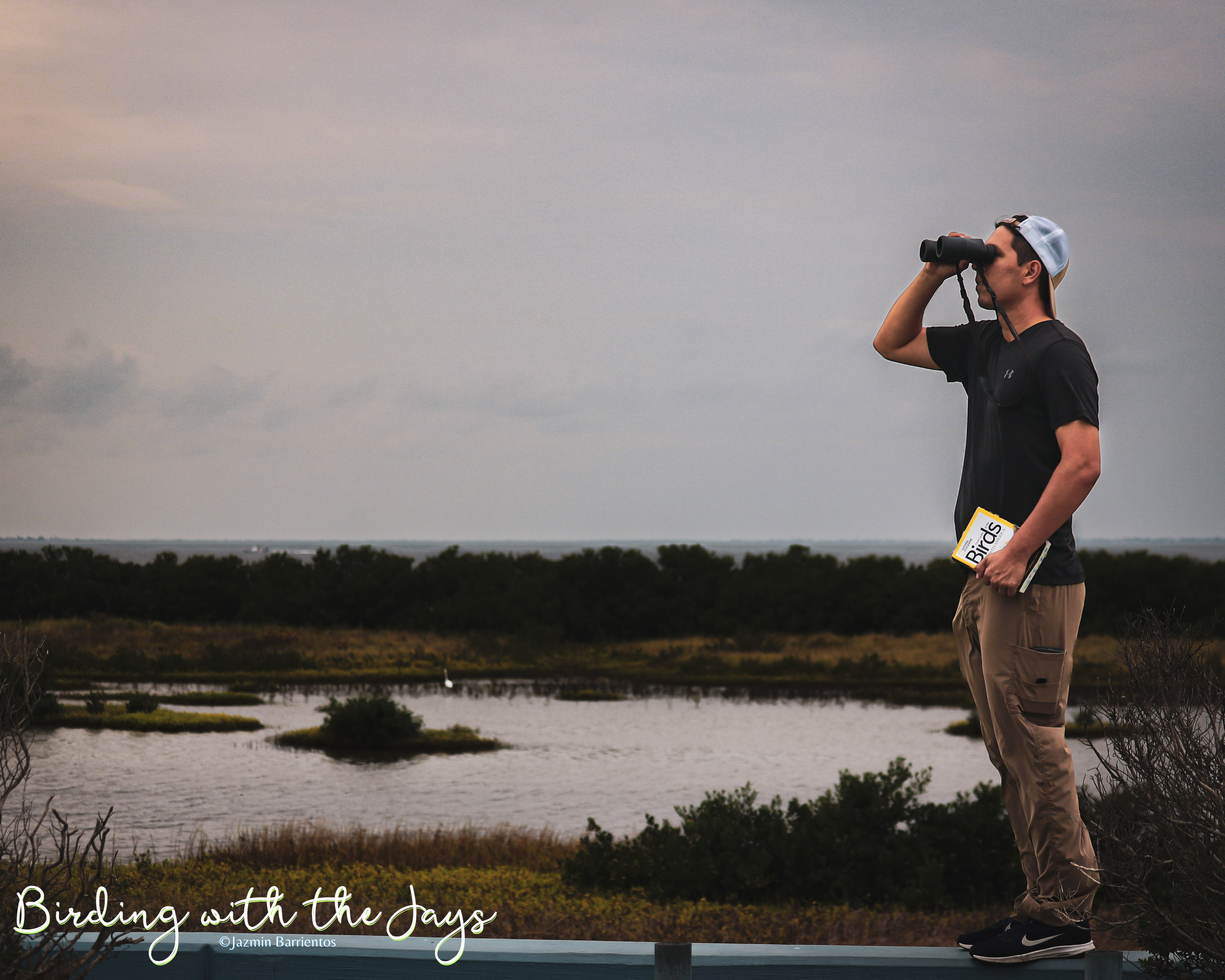 Let’s find some&nbsp;birds!