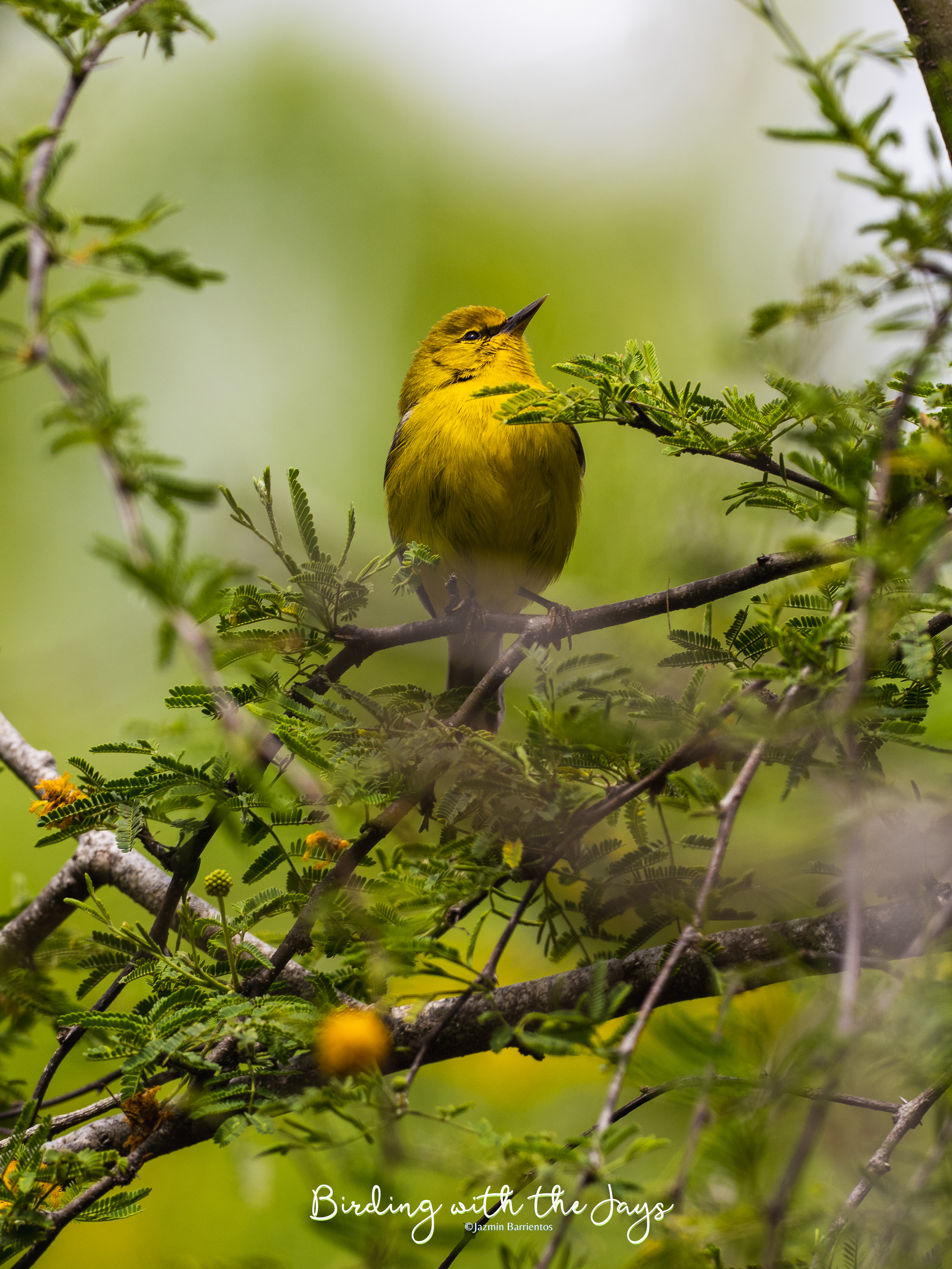 Migration is in the&nbsp;air…